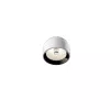 Потолочный светильник Wan Ceiling F9550009