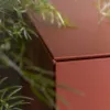 Буфет - Буфет Ikebana - MOGG