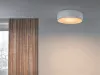 Потолочный светильник - Потолочный светильник Smithfield Ceiling F1370030 - Flos
