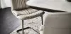 Стул - Стул Kelly Cantilever - Cattelan Italia