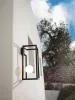 Бра - Бра Abachina AP291 N1 EXT - Karman