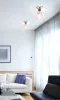 Потолочный светильник - Потолочный Светильник Spot Lights 0464/ f - Patrizia Volpato