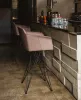 Барный стул - Барный cтул Flaminio Stool - Cattelan Italia