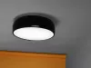 Потолочный светильник - Потолочный светильник Smithfield Ceiling F1370030 - Flos