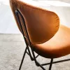 Стул - Стул Chloe - Cattelan Italia