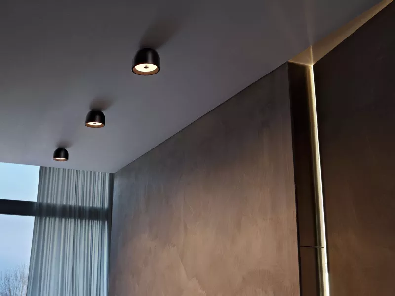 Потолочный светильник - Потолочный светильник Wan Ceiling F9550009 - Flos