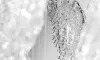 Люстра - Люстра Frosty Leaves L2 - Sans Souci