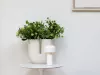 Настольная лампа - Настольная лампа Bellhop Table F1060009 - Flos