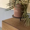 Буфет - Буфет Ikebana - MOGG