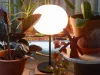 Настольная лампа - Настольная лампа Glo-Ball Table 1 F3020000 - Flos