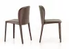 Стул - Стул Daisy - Cattelan Italia