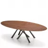 Обеденный Стол Forest Oval