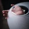 Подвесной светильник - Подвесной светильник Ama - Bomma