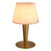 Настольная лампа - Настольная лампа Table Lamp Scarlette 116635 - Eichholtz