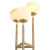 Торшер - Торшер Floor Lamp Fiori 114655 - Eichholtz