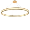 Подвесной светильник - Подвесной светильник Chandelier Damien XL 113901 - Eichholtz