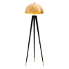Торшер - Торшер Floor Lamp Coyote 113888 - Eichholtz