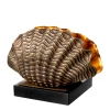 Настольная лампа Table Lamp Burbank 113089